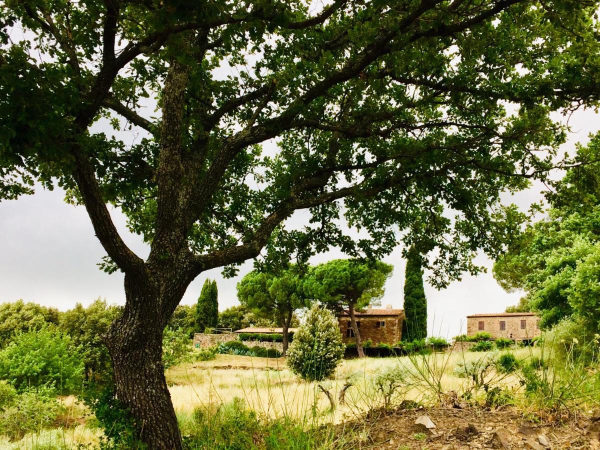 Nocini Di Maremma Vila Tatti Exterior foto