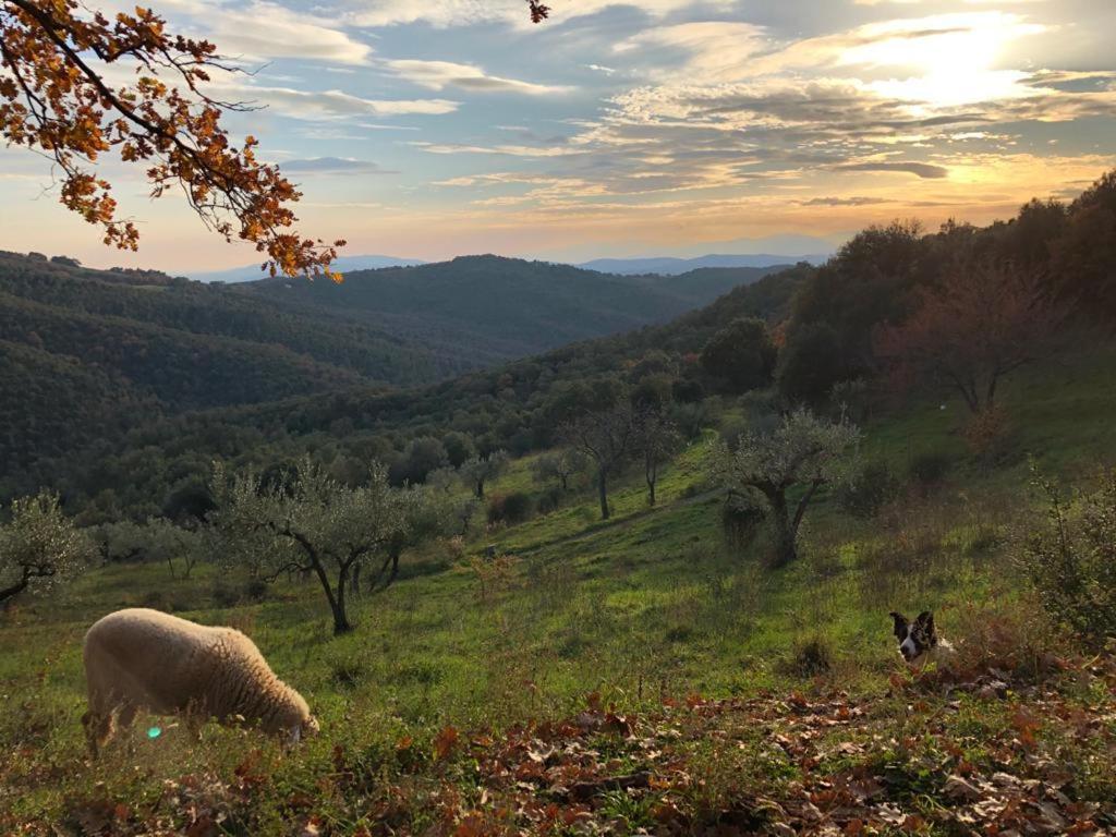 Nocini Di Maremma Vila Tatti Exterior foto