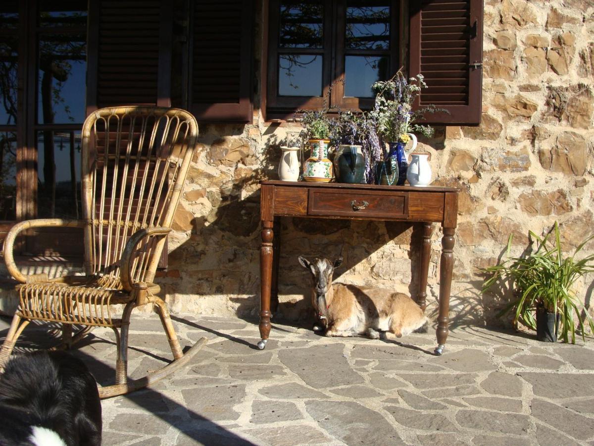 Nocini Di Maremma Vila Tatti Exterior foto