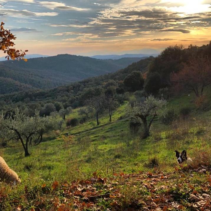 Nocini Di Maremma Vila Tatti Exterior foto