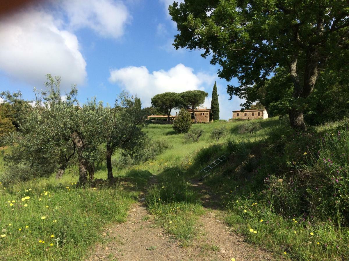 Nocini Di Maremma Vila Tatti Exterior foto