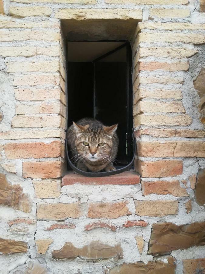 Nocini Di Maremma Vila Tatti Exterior foto